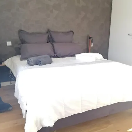 De Standing En Hyper Centre Apartment *